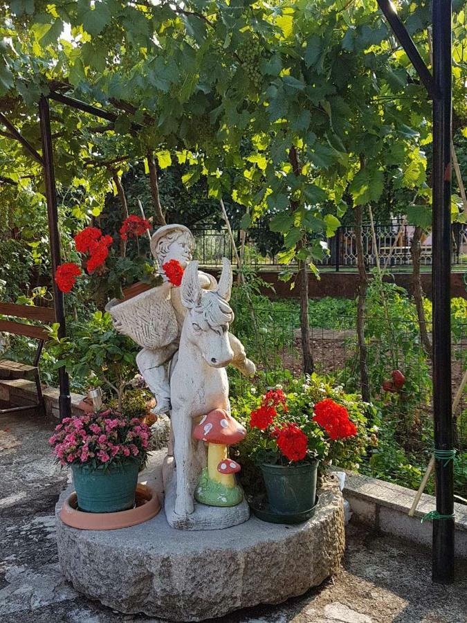 Apartment Parenzana Bibali 65 A 52460-Buje Εξωτερικό φωτογραφία